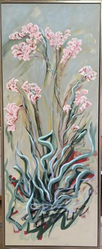 Kangaroo Paw