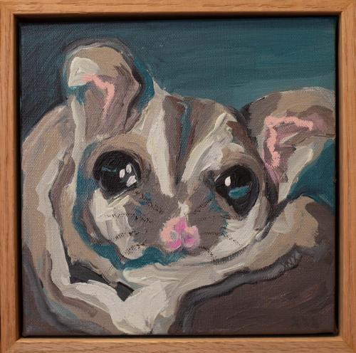 Sugar-Glider-23x23cm-$250